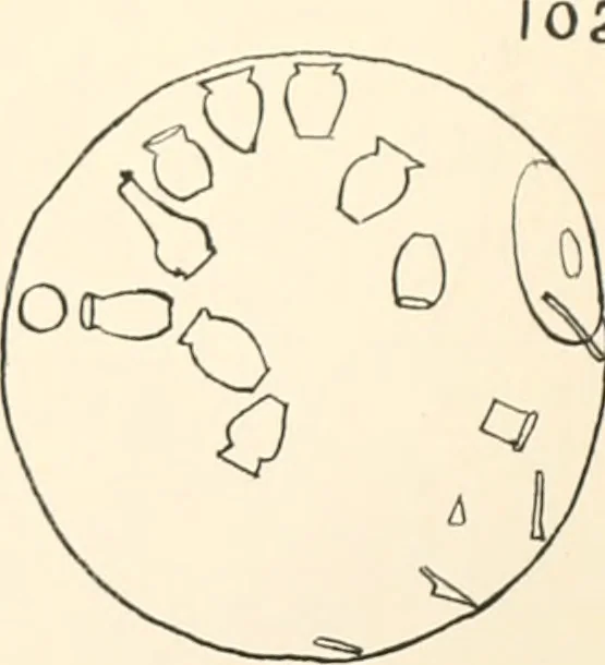An illustration from Abydos, 1902, leaf 206
