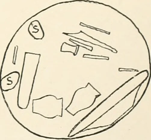 An illustration from Abydos, 1902, leaf 206