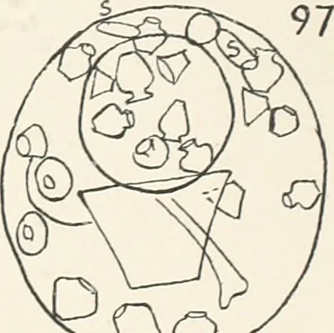 An illustration from Abydos, 1902, leaf 206