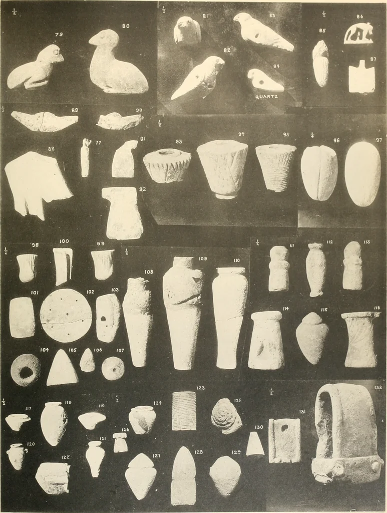 An illustration from Abydos, 1902, leaf 82