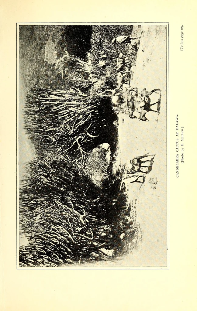 An illustration from Abyssinia through the Lion-land to the court of the Lion of Judah, 1901, leaf 133