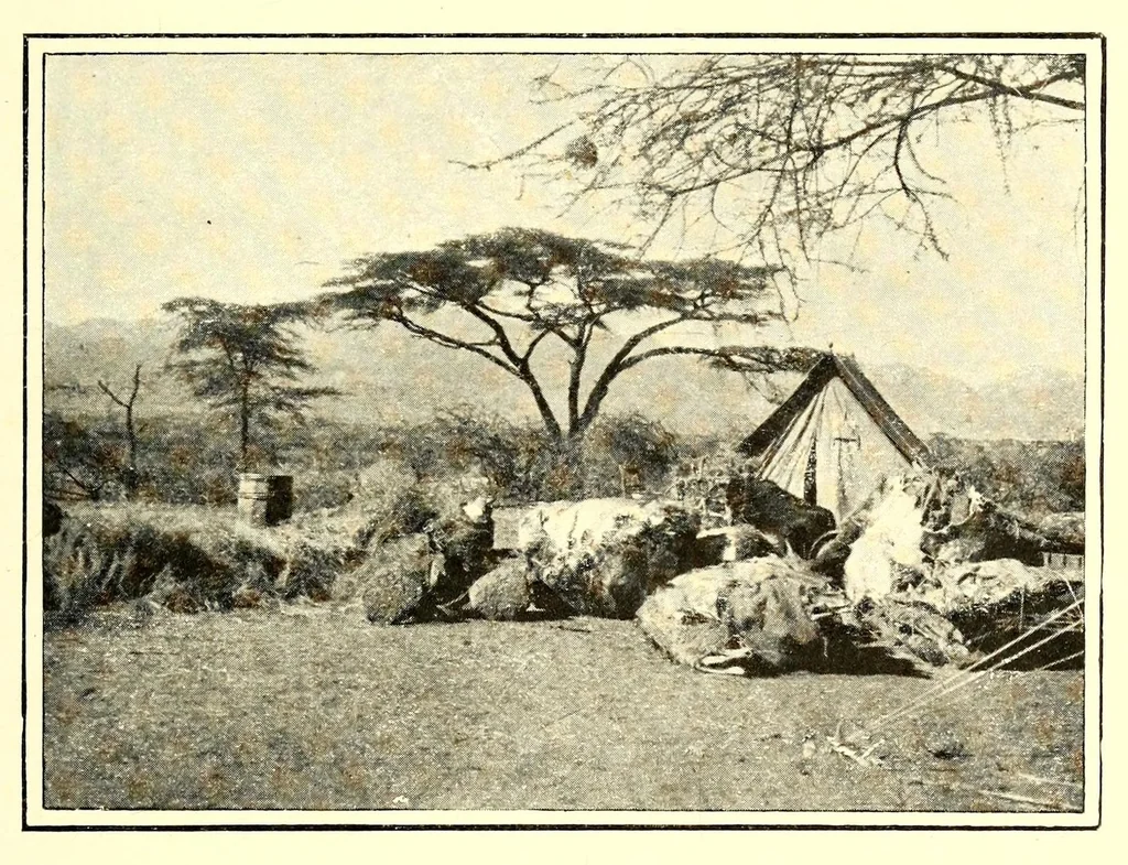 An illustration from Abyssinia through the Lion-land to the court of the Lion of Judah, 1901, leaf 179