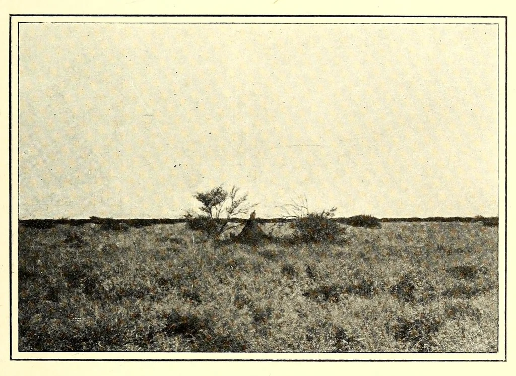 An illustration from Abyssinia through the Lion-land to the court of the Lion of Judah, 1901, leaf 183