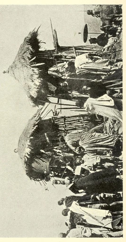 An illustration from Abyssinia through the Lion-land to the court of the Lion of Judah, 1901, leaf 228