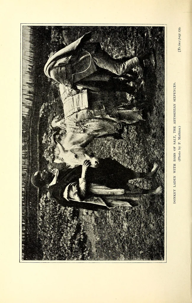 An illustration from Abyssinia through the Lion-land to the court of the Lion of Judah, 1901, leaf 290