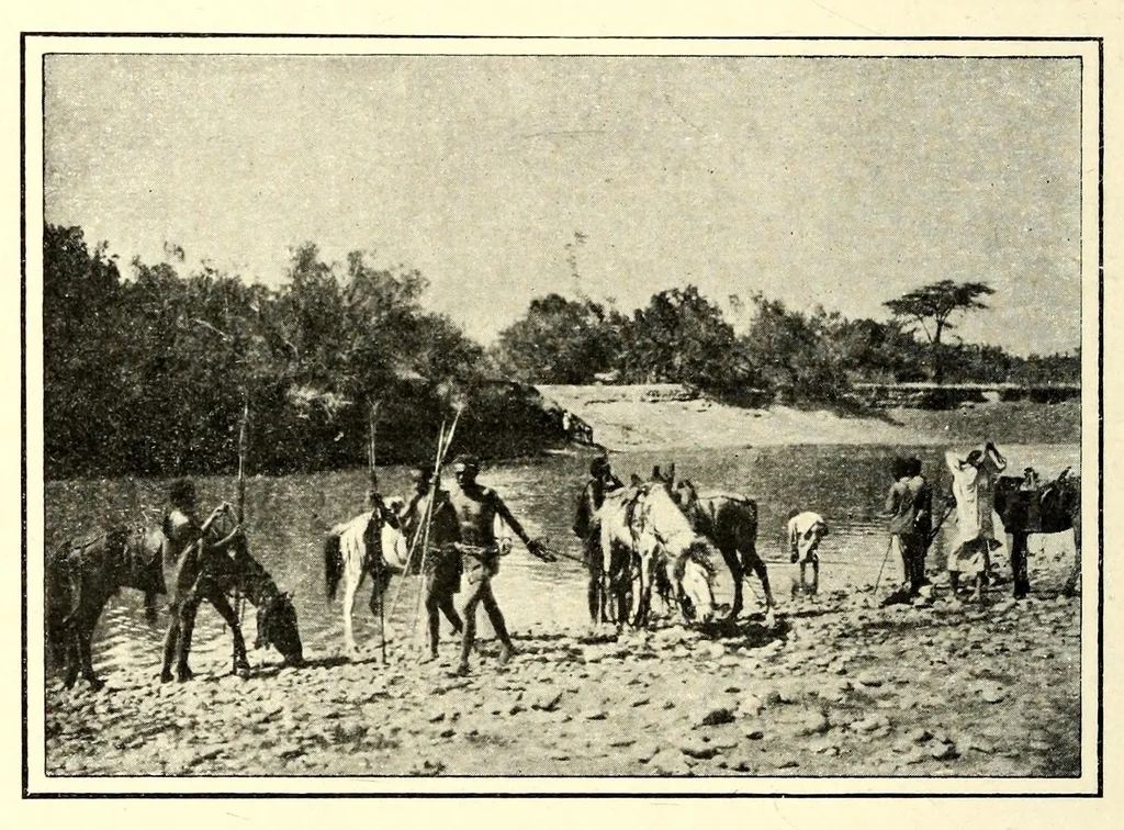 An illustration from Abyssinia through the Lion-land to the court of the Lion of Judah, 1901, leaf 354