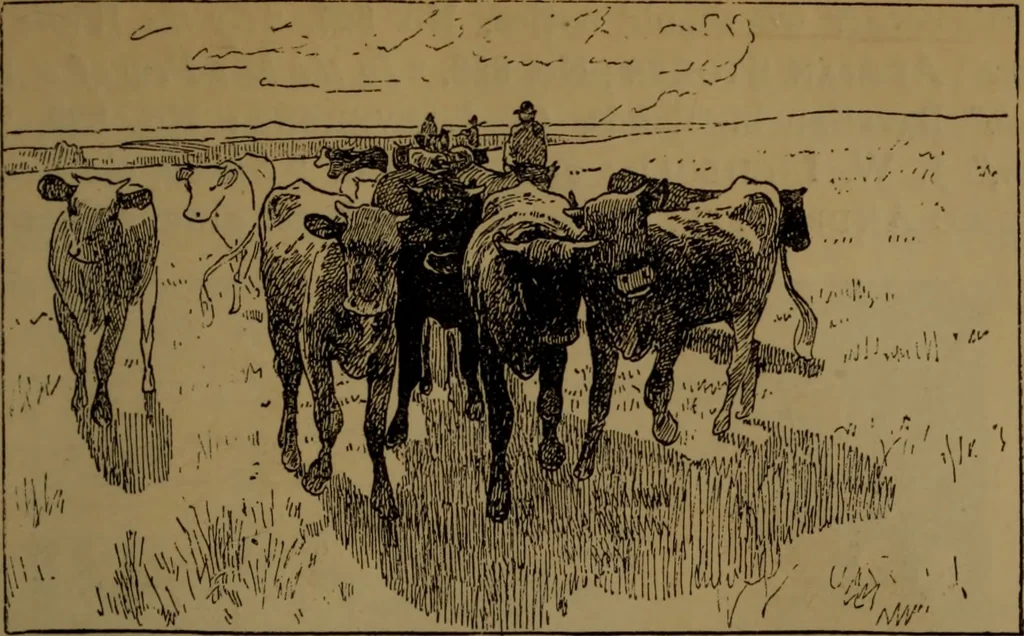 An illustration from Academy notes, 1875, leaf 100