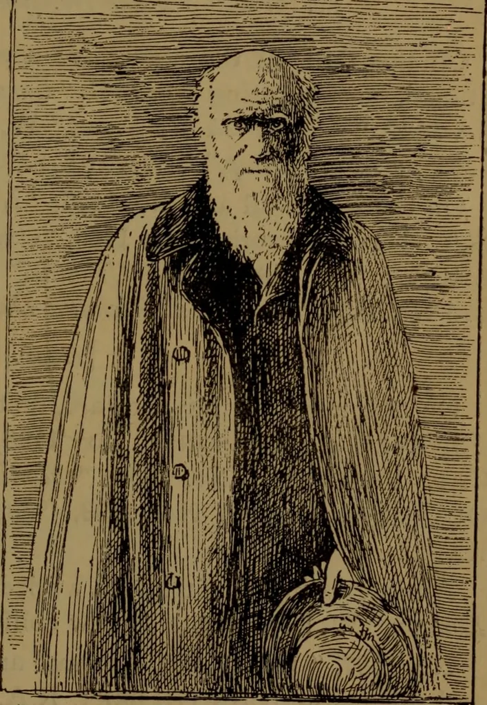 An illustration from Academy notes, 1875, leaf 106