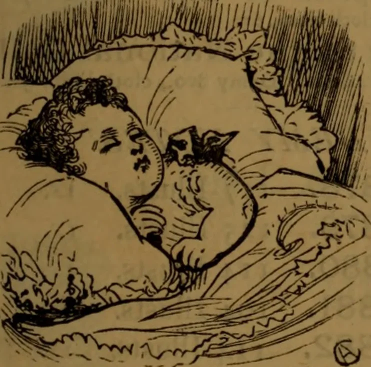 An illustration from Academy notes, 1875, leaf 120