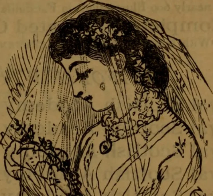 An illustration from Academy notes, 1875, leaf 120