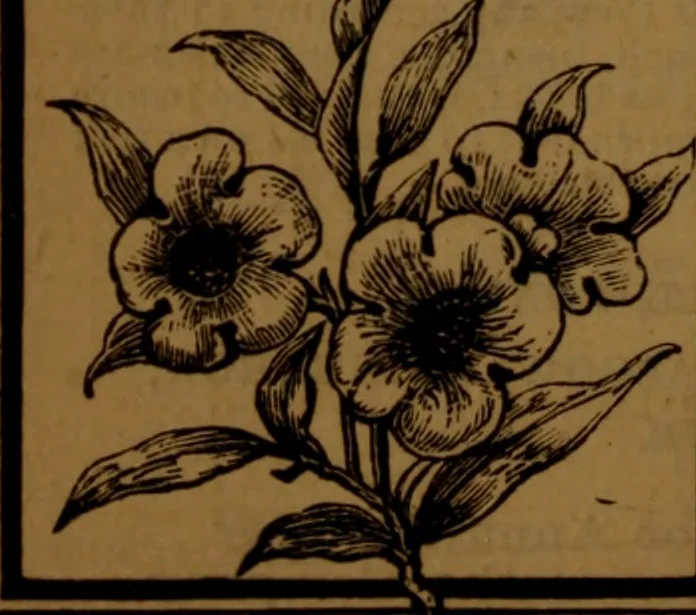 An illustration from Academy notes, 1875, leaf 153