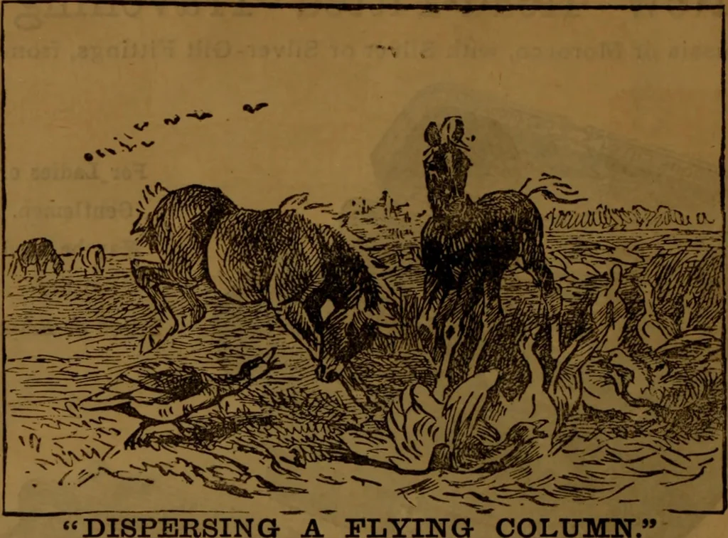 An illustration from Academy notes, 1875, leaf 19