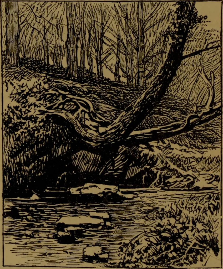 An illustration from Academy notes, 1875, leaf 41