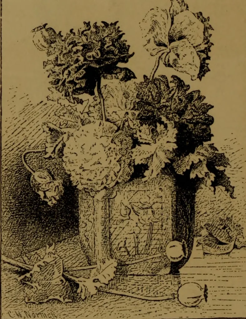 An illustration from Academy notes, 1875, leaf 51