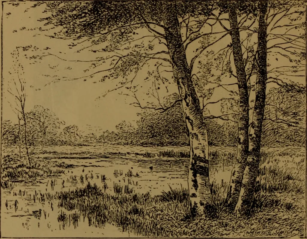 An illustration from Academy notes, 1875, leaf 57