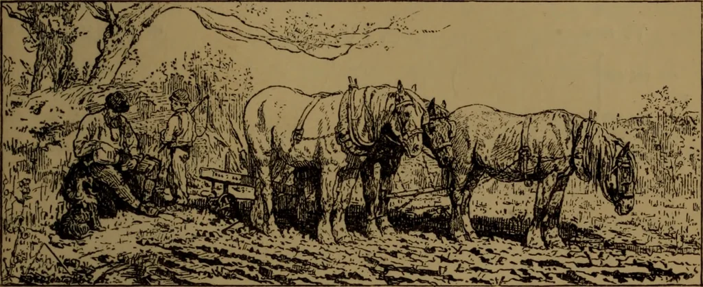 An illustration from Academy notes, 1875, leaf 64