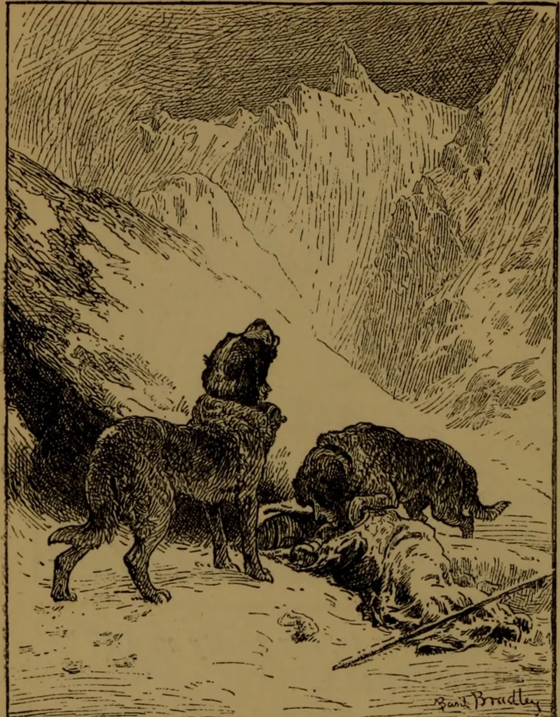 An illustration from Academy notes, 1875, leaf 79