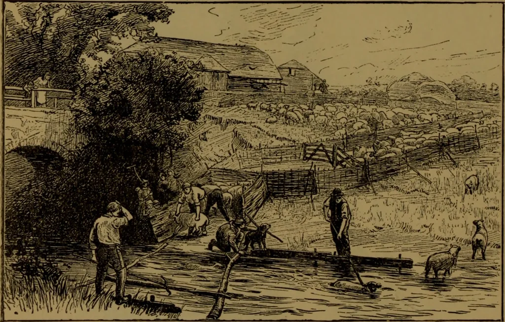 An illustration from Academy notes, 1875, leaf 93