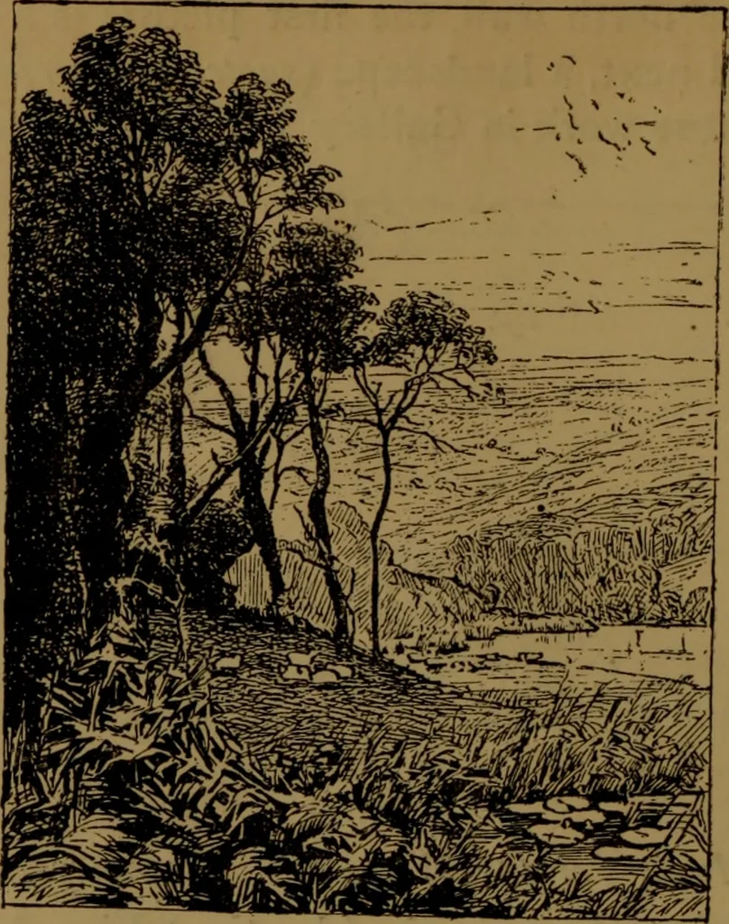 An illustration from Academy notes, 1875, leaf 97