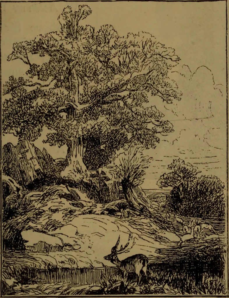 An illustration from Academy notes, 1875, leaf 98