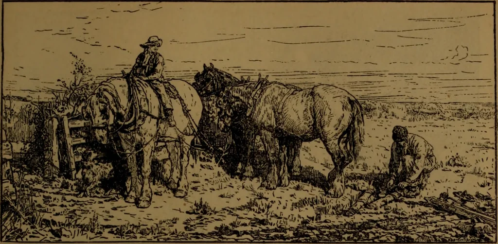 An illustration from Academy notes, 1875, leaf 108
