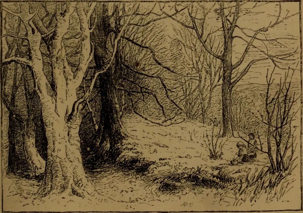 An illustration from Academy notes, 1875, leaf 42