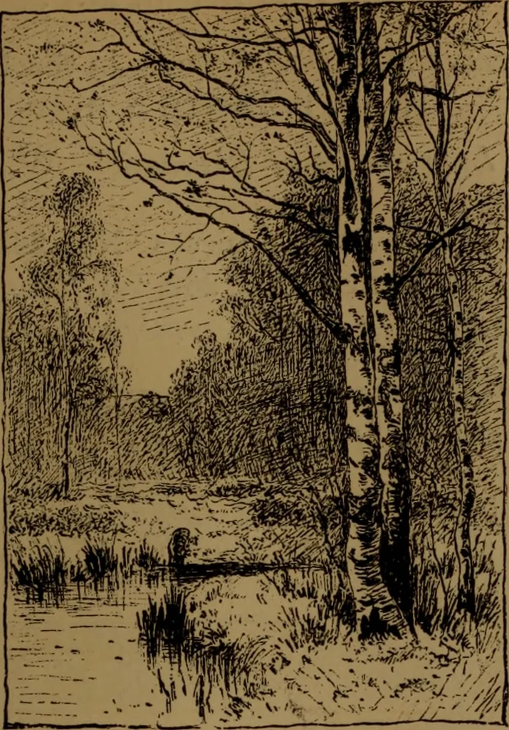An illustration from Academy notes, 1875, leaf 62