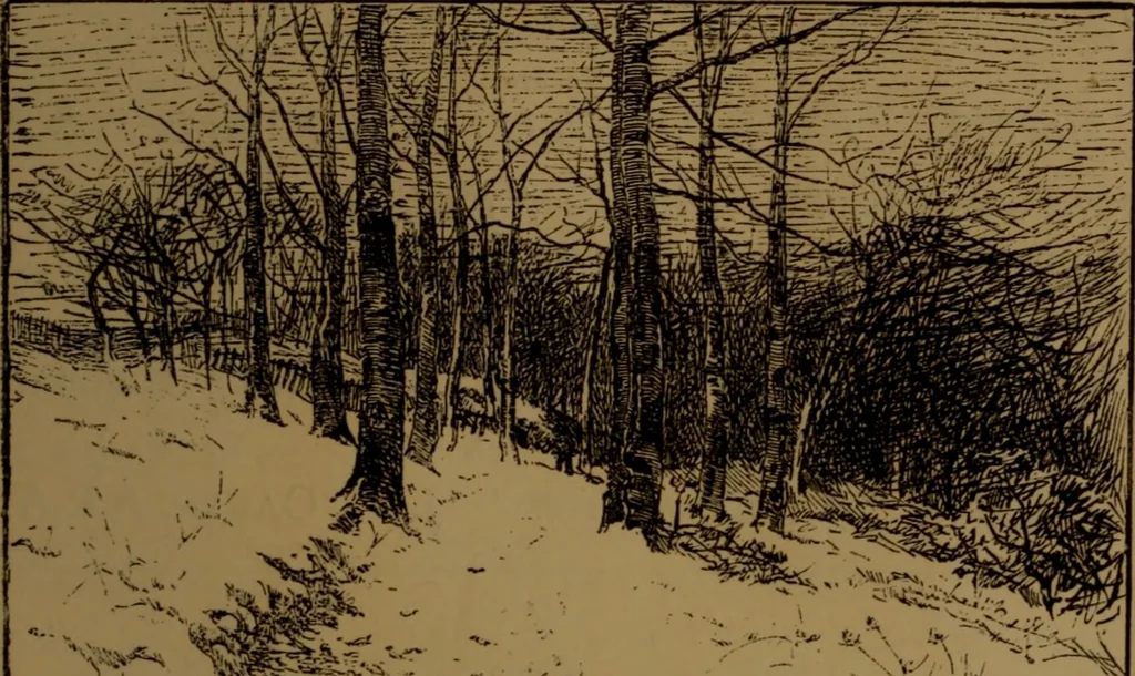 An illustration from Academy notes, 1875, leaf 70
