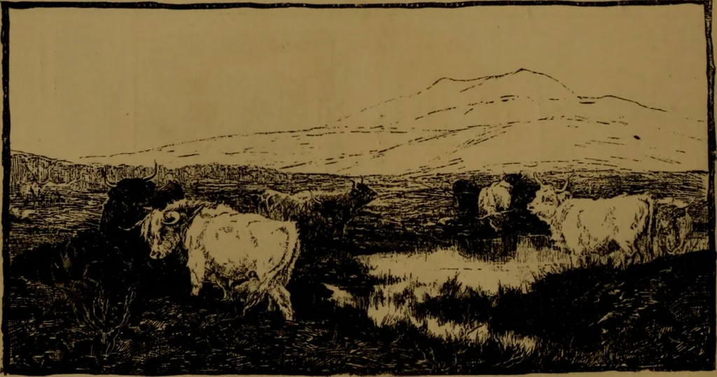 An illustration from Academy notes, 1875, leaf 73