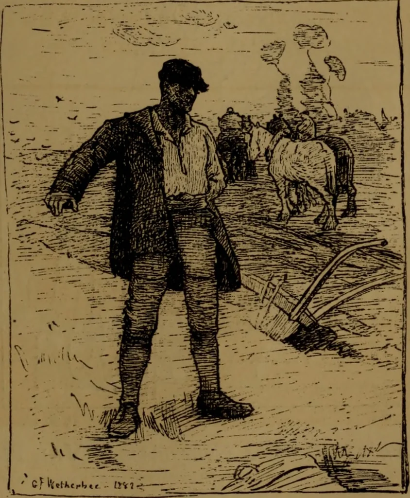 An illustration from Academy notes, 1875, leaf 74