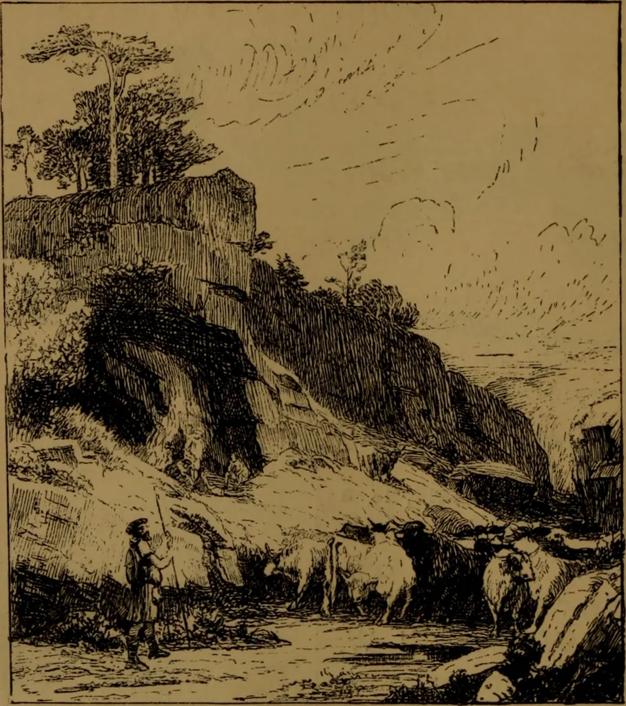 An illustration from Academy notes, 1875, leaf 81