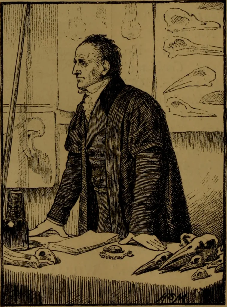 An illustration from Academy notes, 1875, leaf 81