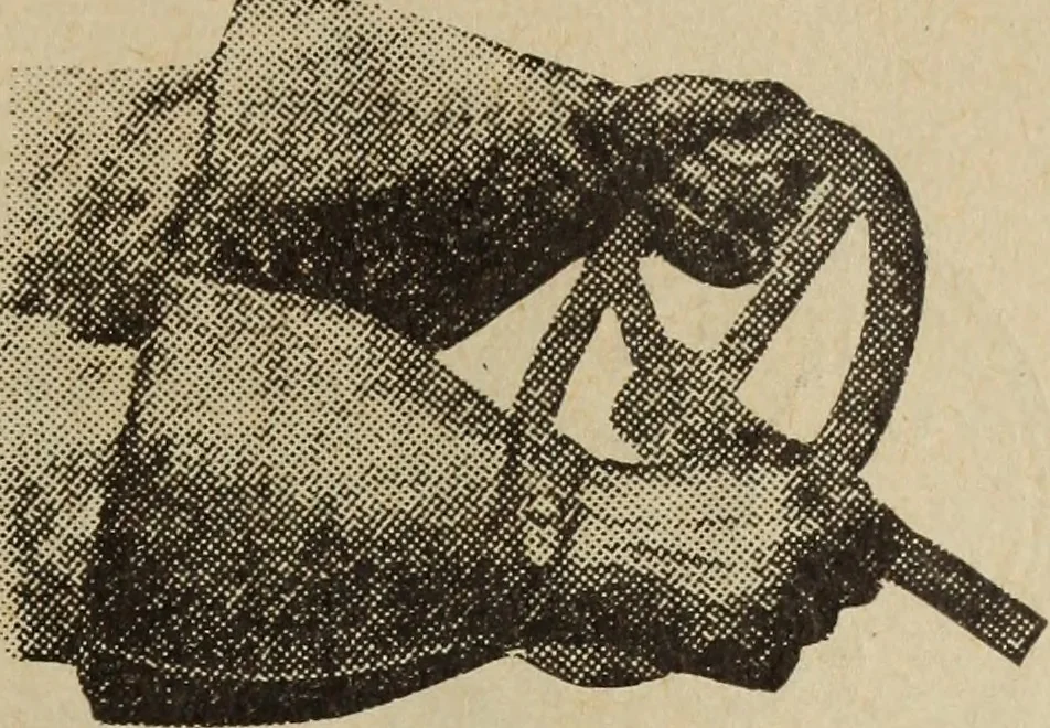 An illustration from Accessoires pour automobiles, catalogue no. 1, 1914, 1914, leaf 26