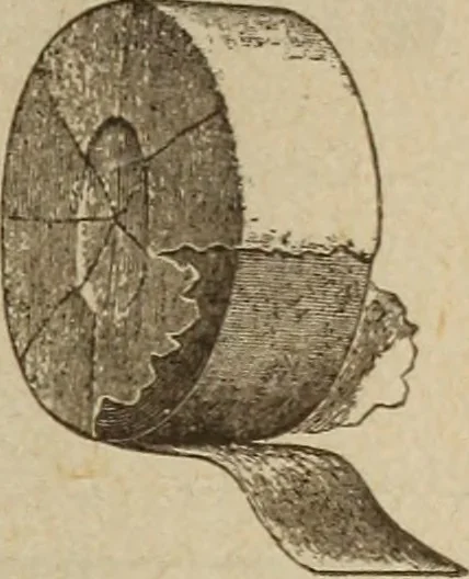An illustration from Accessoires pour automobiles, catalogue no. 1, 1914, 1914, leaf 64