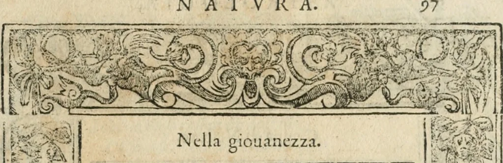 An illustration from Diverse imprese accommodate a diuerse moralità : con versi che i loro significati dichiarano insieme con molte altre nella lingua italiana non piu tradotte, 1564, leaf 100