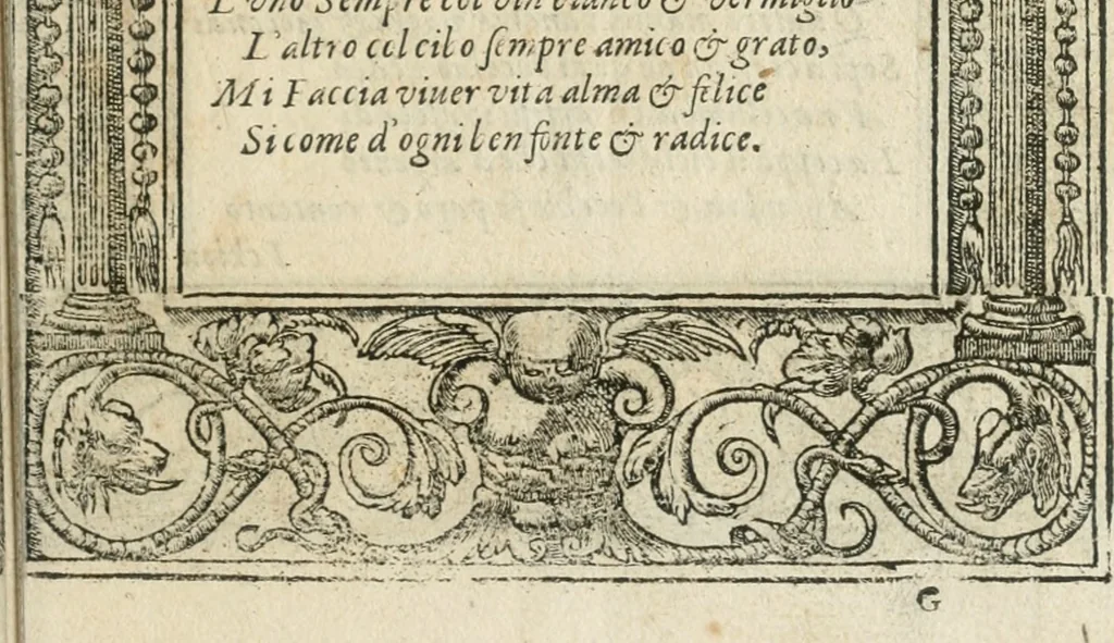 An illustration from Diverse imprese accommodate a diuerse moralità : con versi che i loro significati dichiarano insieme con molte altre nella lingua italiana non piu tradotte, 1564, leaf 100