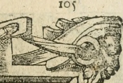 An illustration from Diverse imprese accommodate a diuerse moralità : con versi che i loro significati dichiarano insieme con molte altre nella lingua italiana non piu tradotte, 1564, leaf 108