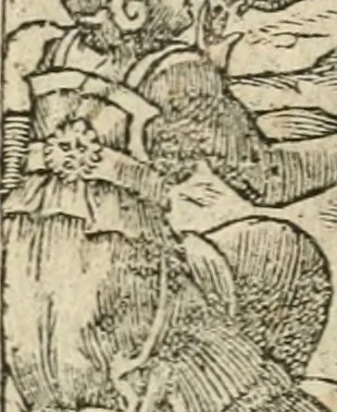 An illustration from Diverse imprese accommodate a diuerse moralità : con versi che i loro significati dichiarano insieme con molte altre nella lingua italiana non piu tradotte, 1564, leaf 111
