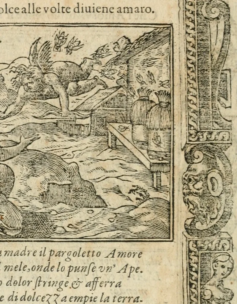 An illustration from Diverse imprese accommodate a diuerse moralità : con versi che i loro significati dichiarano insieme con molte altre nella lingua italiana non piu tradotte, 1564, leaf 111