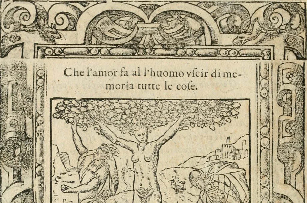 An illustration from Diverse imprese accommodate a diuerse moralità : con versi che i loro significati dichiarano insieme con molte altre nella lingua italiana non piu tradotte, 1564, leaf 115