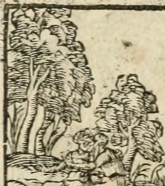 An illustration from Diverse imprese accommodate a diuerse moralità : con versi che i loro significati dichiarano insieme con molte altre nella lingua italiana non piu tradotte, 1564, leaf 117