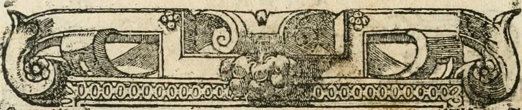 An illustration from Diverse imprese accommodate a diuerse moralità : con versi che i loro significati dichiarano insieme con molte altre nella lingua italiana non piu tradotte, 1564, leaf 119