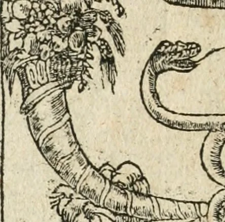An illustration from Diverse imprese accommodate a diuerse moralità : con versi che i loro significati dichiarano insieme con molte altre nella lingua italiana non piu tradotte, 1564, leaf 119