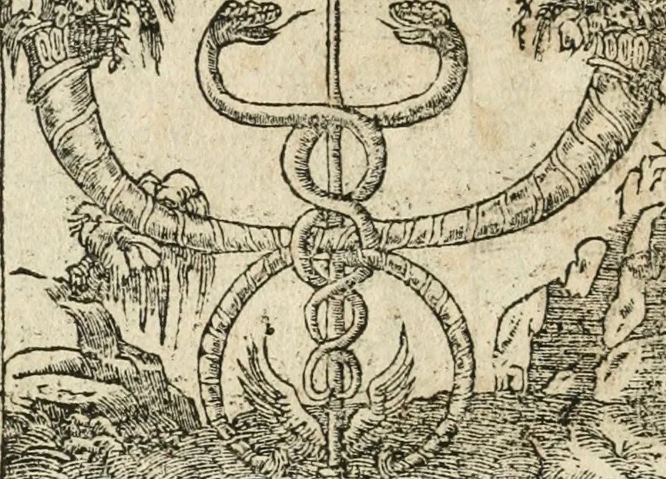 An illustration from Diverse imprese accommodate a diuerse moralità : con versi che i loro significati dichiarano insieme con molte altre nella lingua italiana non piu tradotte, 1564, leaf 119