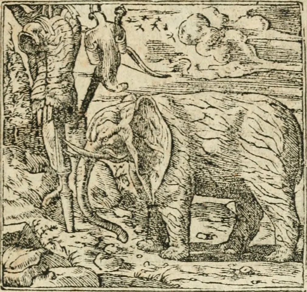 An illustration from Diverse imprese accommodate a diuerse moralità : con versi che i loro significati dichiarano insieme con molte altre nella lingua italiana non piu tradotte, 1564, leaf 124