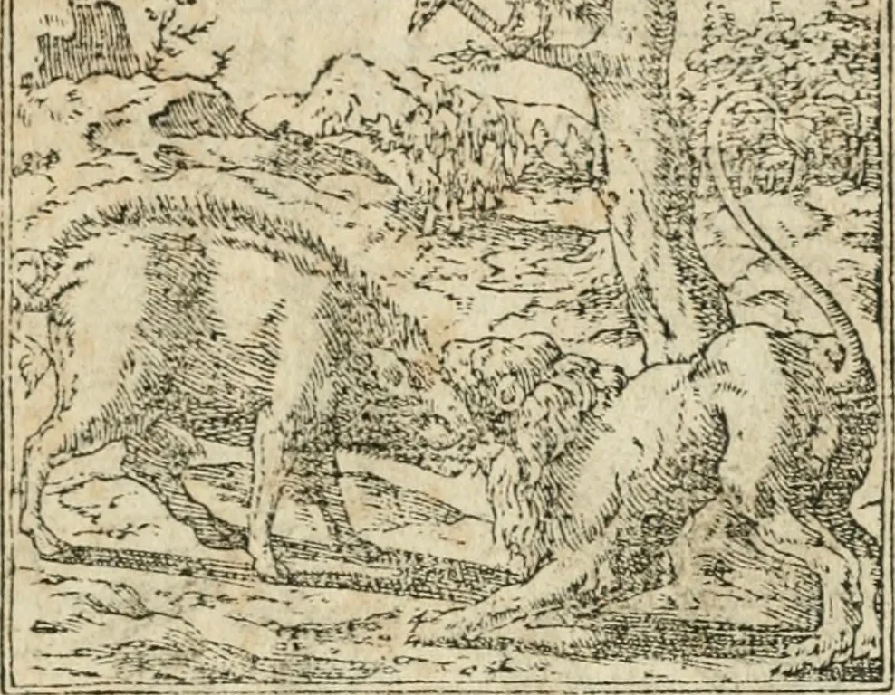 An illustration from Diverse imprese accommodate a diuerse moralità : con versi che i loro significati dichiarano insieme con molte altre nella lingua italiana non piu tradotte, 1564, leaf 126