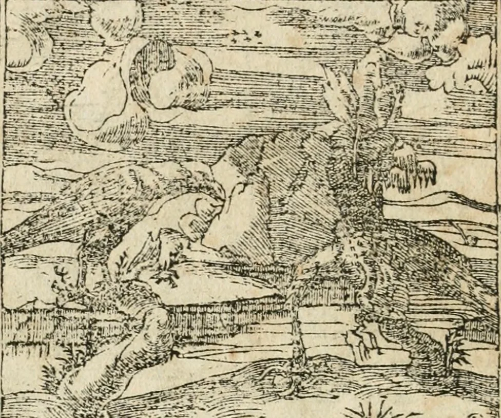 An illustration from Diverse imprese accommodate a diuerse moralità : con versi che i loro significati dichiarano insieme con molte altre nella lingua italiana non piu tradotte, 1564, leaf 129