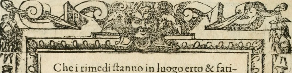 An illustration from Diverse imprese accommodate a diuerse moralità : con versi che i loro significati dichiarano insieme con molte altre nella lingua italiana non piu tradotte, 1564, leaf 131