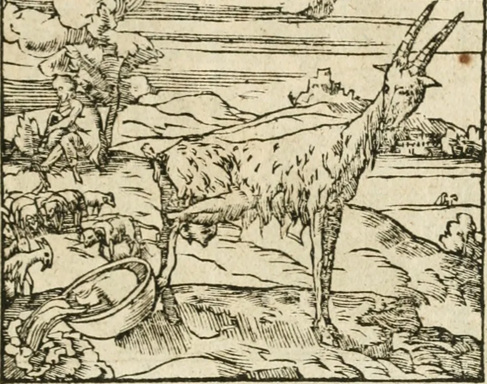An illustration from Diverse imprese accommodate a diuerse moralità : con versi che i loro significati dichiarano insieme con molte altre nella lingua italiana non piu tradotte, 1564, leaf 140