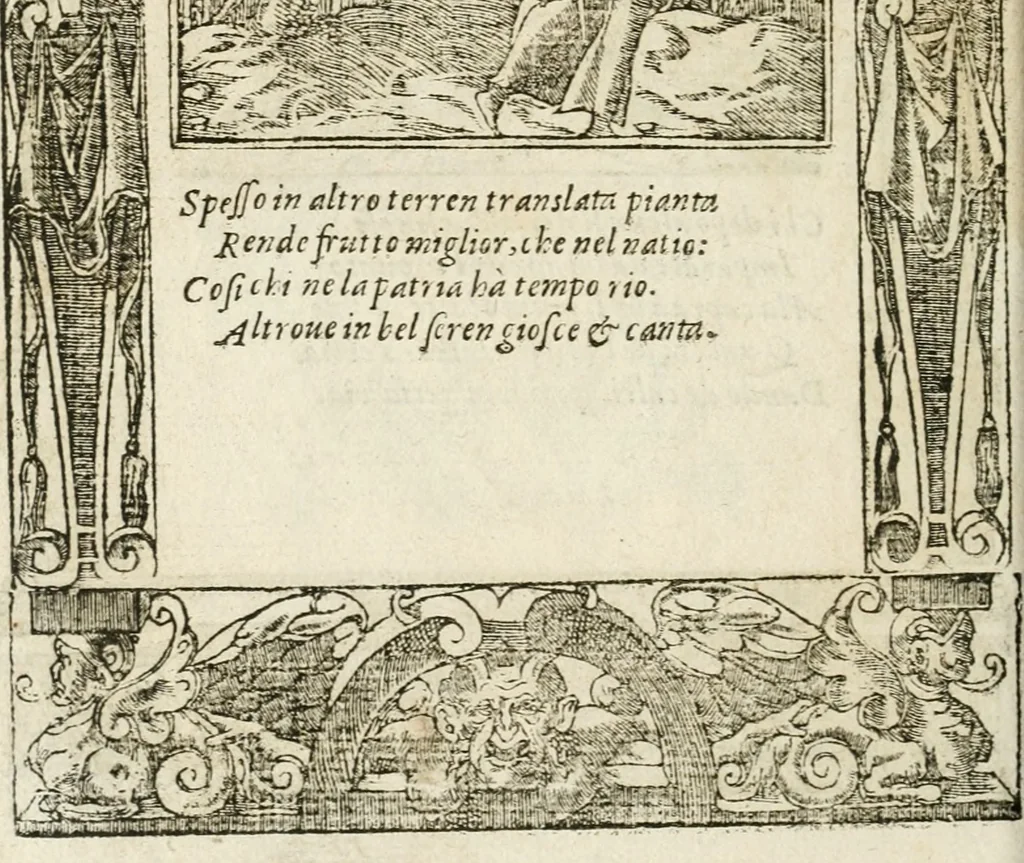 An illustration from Diverse imprese accommodate a diuerse moralità : con versi che i loro significati dichiarano insieme con molte altre nella lingua italiana non piu tradotte, 1564, leaf 141